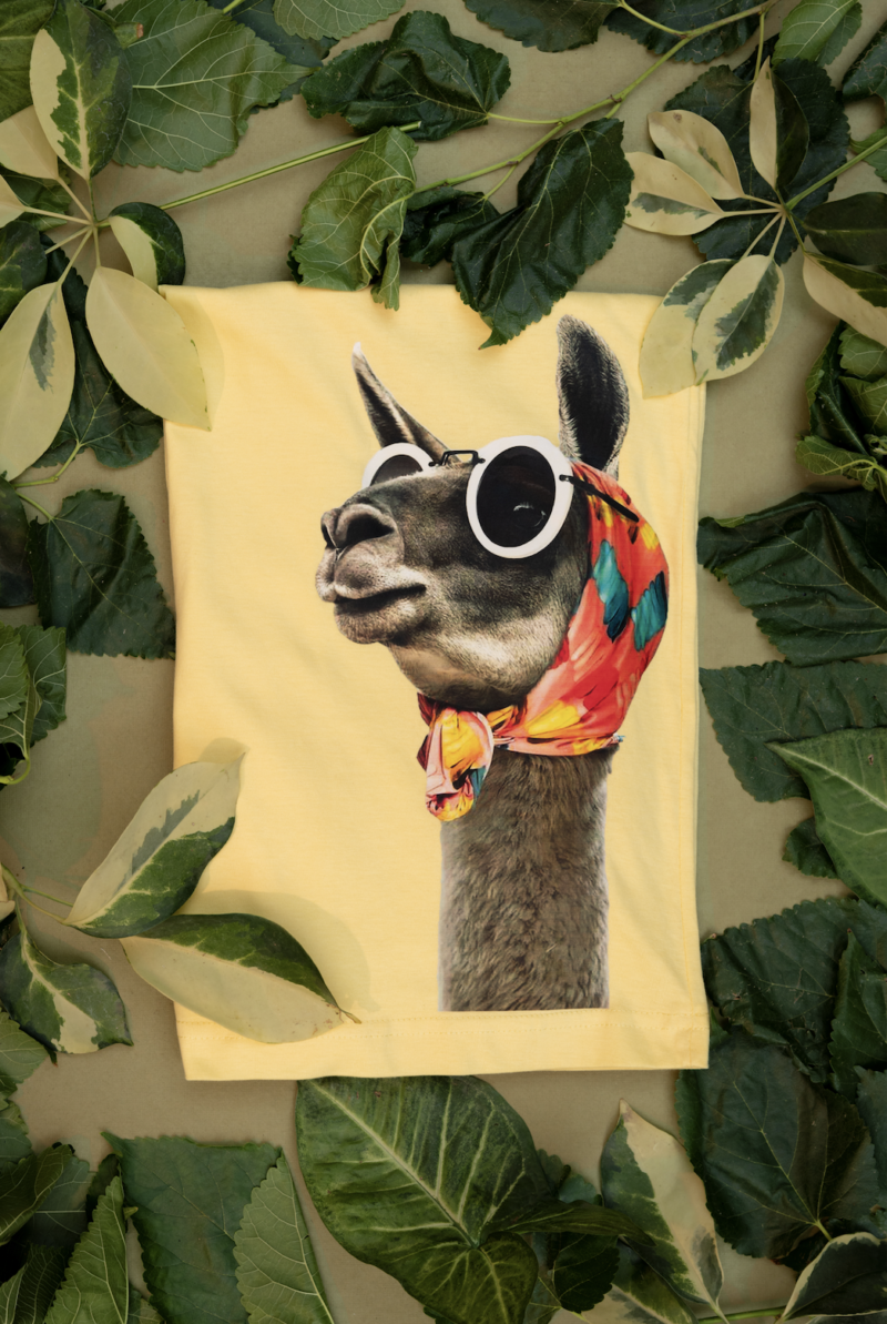 Lama DTG - Image 2